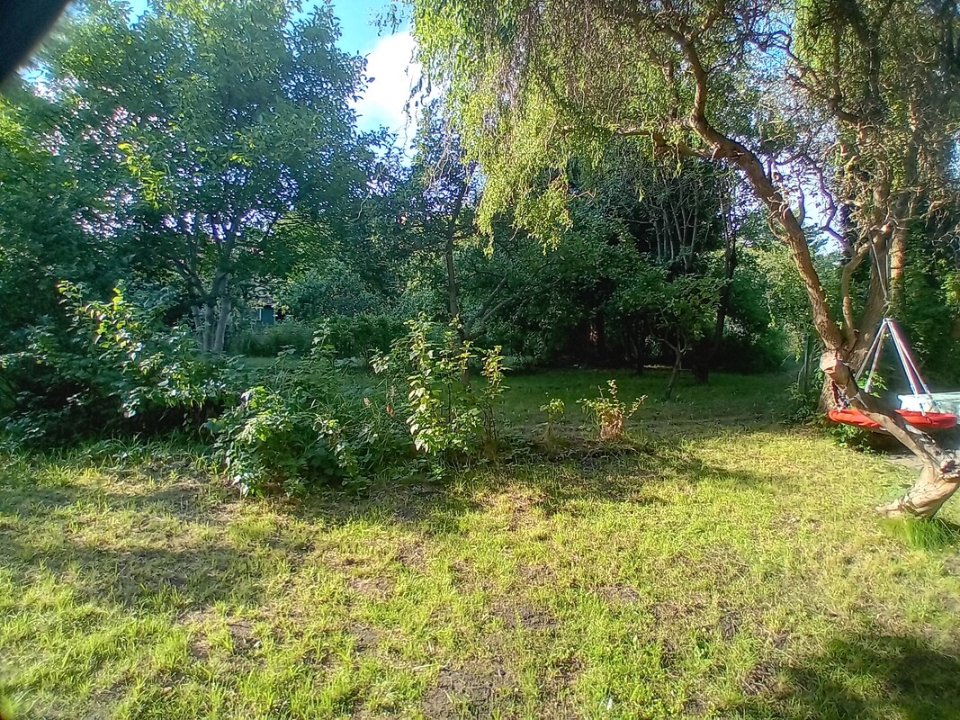 Elbląg 🌳 Wyjątkowo duża, piękna działka z altanką w okazyjnej cenie w ROD Moniuszki przy Parku Wodnym