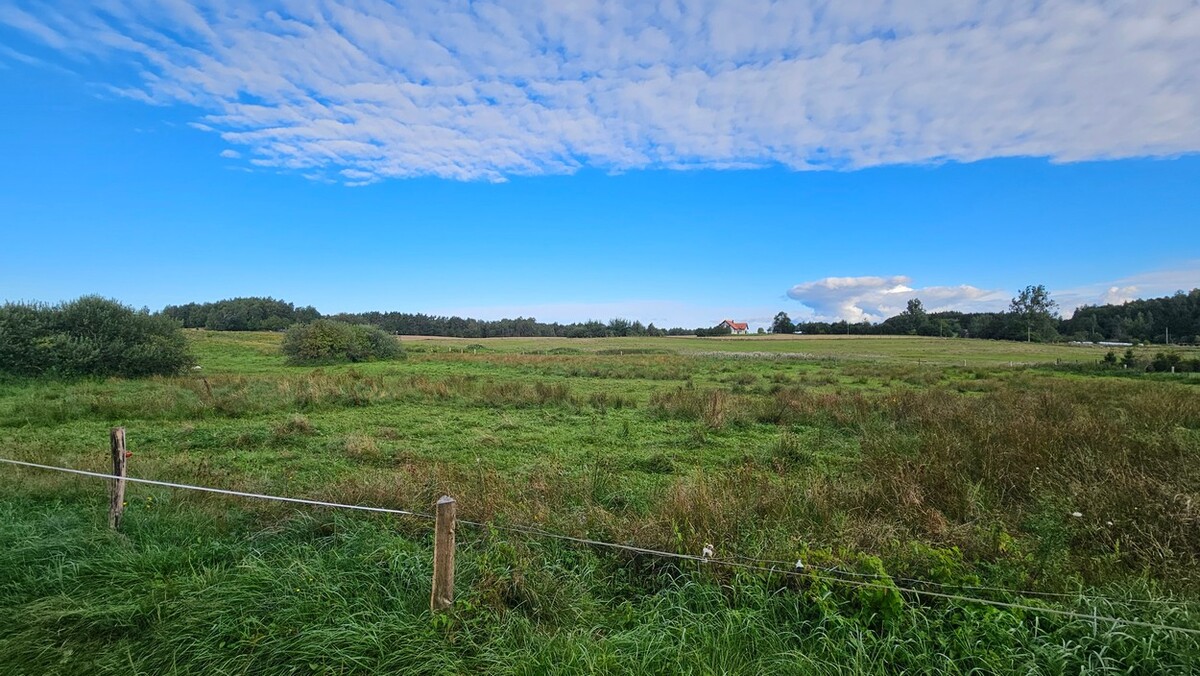 Elbląg BIURO NIERUCHOMOŚCISZULC& SZULCDziałka budowlana - Majewo /gmina Milejewo/Powierzchnia działki: 3000
