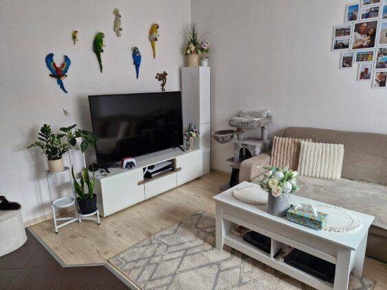 Elbląg Komfortowe 2 pokoje w sercu Elbląga z prywatnym ogródkiem i piwnicą!
Wynajmę funkcjonalne mieszkanie 34 m² na