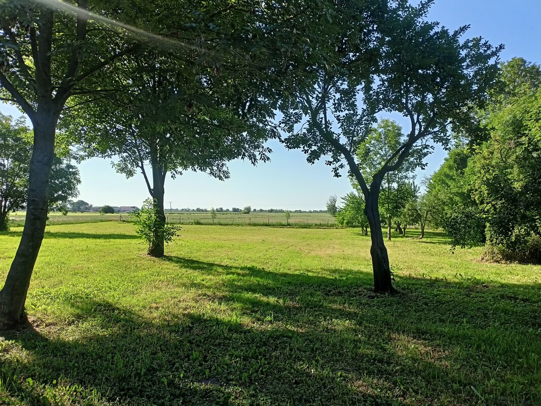 Elbląg 🏡 SPRZEDAM DOM Z DUŻĄ DZIAŁKĄ 🌳