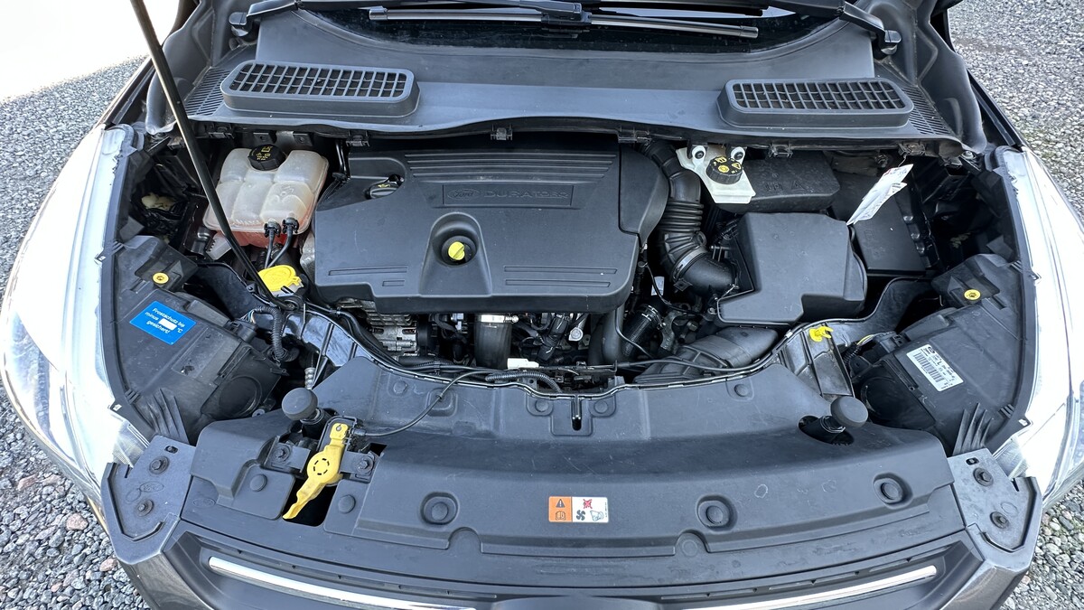 Elbląg Auto Leew LEWANDOWSKI