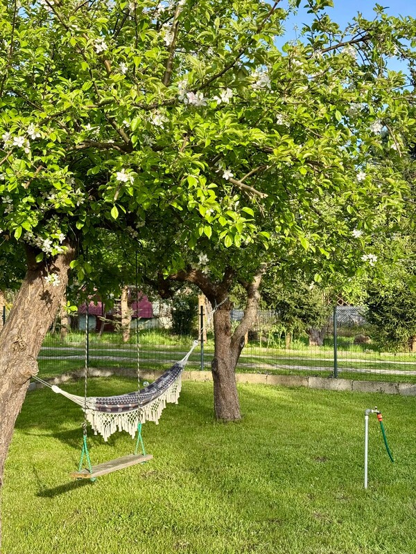 Elbląg Sprzedam Działkę Rekreacyjna 300m2 Rod Rekreacja przy lotnisku.