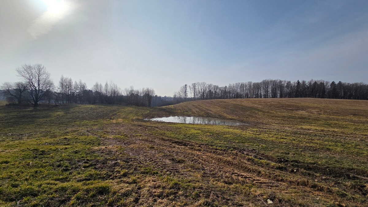 Elbląg SZULC & SZULC BIURO NIERUCHOMOŚCI NA SPRZEDAŻDziałka budowlana - Stare Monasterzysko