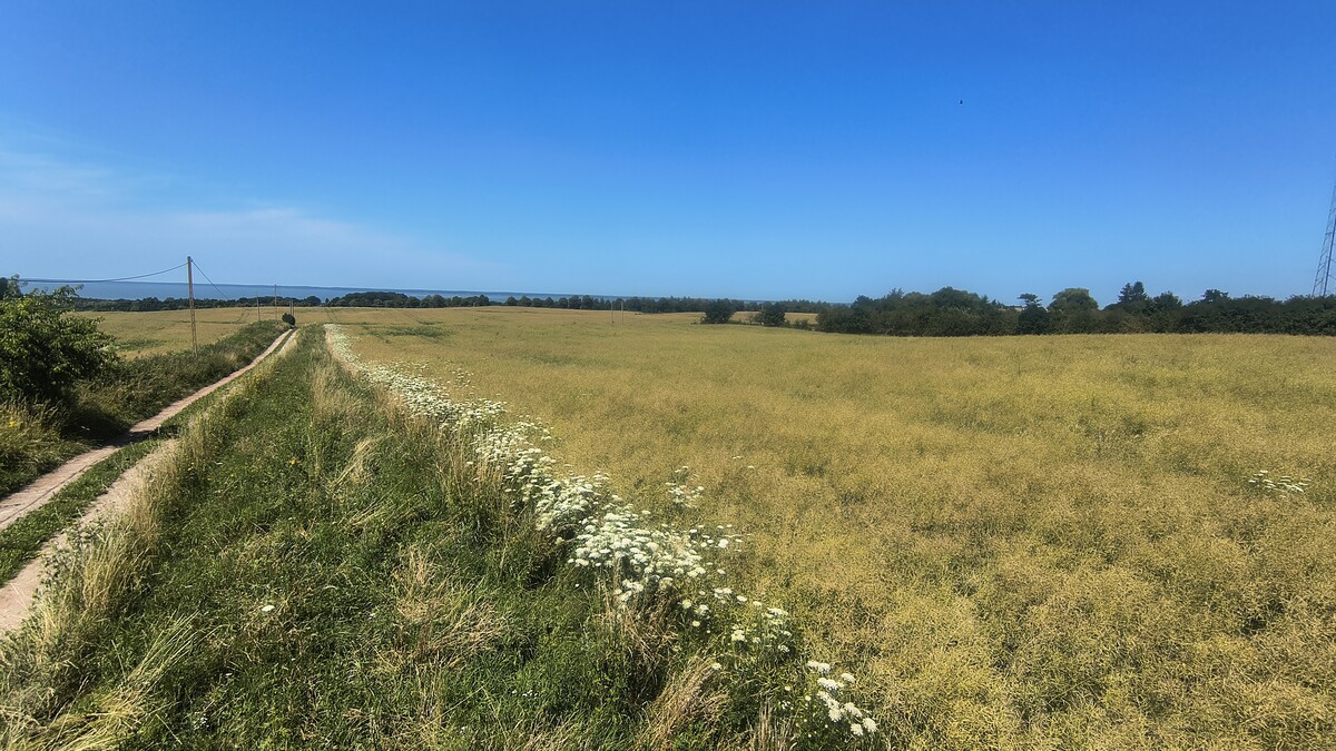 Elbląg Działki rolno-budowlane 10ha, widok na Zalew Wiślany, 30zł/m2!