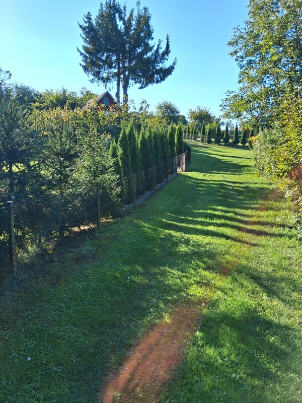 Elbląg Sprzedam działkę ROD SKOWRONEK ul. Okrężna. Na działce jest woda i prąd. Altana zadbana nowy dach więcej