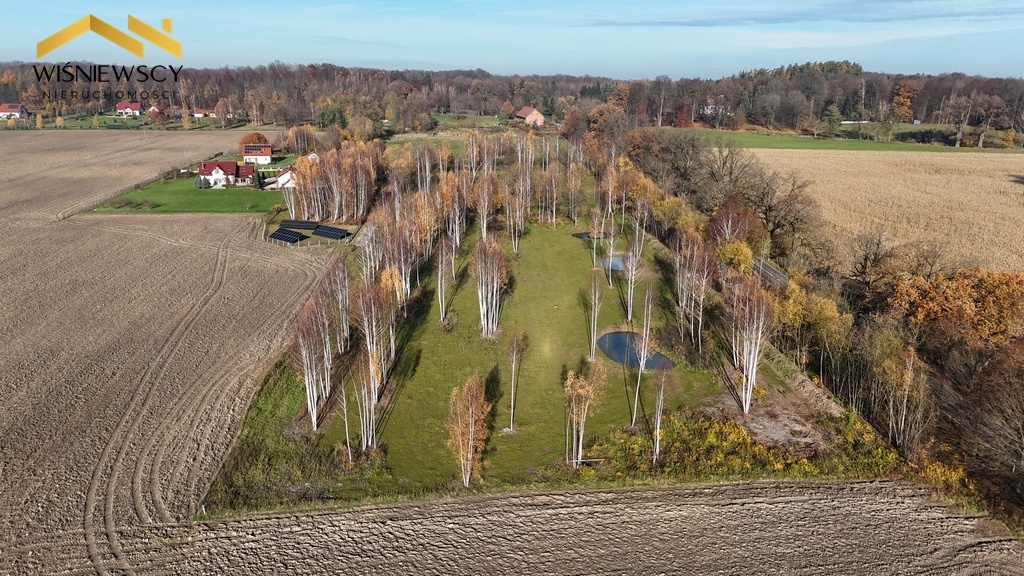 Elbląg WIŚNIEWSCY NIERUCHOMOŚCI Sp. z o.o.Sprzedam działkę - Dawidy. Oferta sprzedaży działki rolnej z wydaną