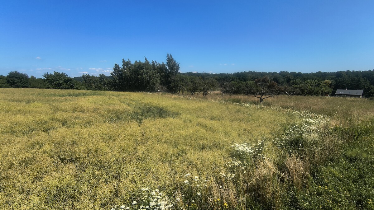 Elbląg Działki rolno-budowlane 10ha, widok na Zalew Wiślany, 30zł/m2!