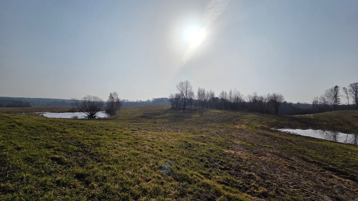 Elbląg SZULC & SZULC BIURO NIERUCHOMOŚCI NA SPRZEDAŻDziałka budowlana - Stare Monasterzysko