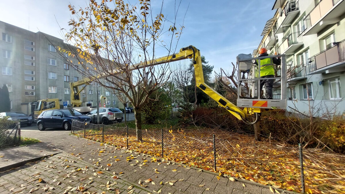 Elbląg • usługi podnośnikowe - wynajem podnośnika koszowego 27m
• wycinka, pielęgnacja drzew i krzewów