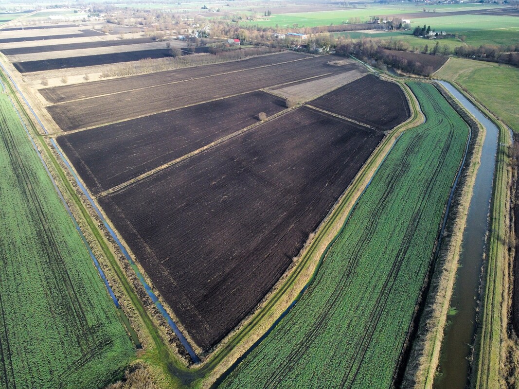 Elbląg NIERUCHOMOŚCI ANNA KRASZEWSKAGrunty rolne na sprzedaż 11,65 haSzopy, gm. Gronowo Elbląskie, powiat elbląski