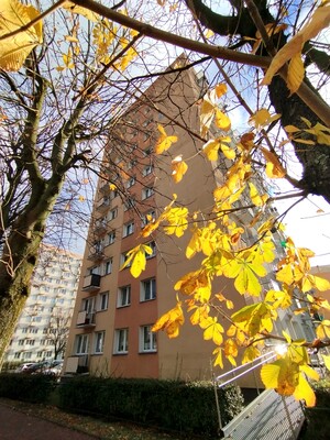 Elbląg Sprzedam mieszkanie 38 m. spółdzielcze własnościowe prawo do lokalu, w centrum Elbląga, przy ul. Nowowiejskiej,