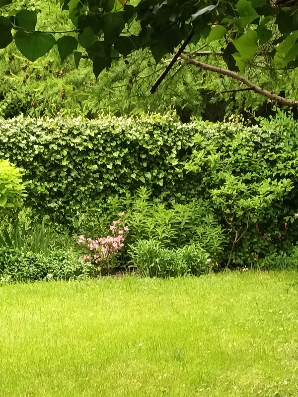 Elbląg Sprzedam dom jednorodzinny w zabudowie bliźniaczej na ul. Narutowicza. Najbardziej pożądana lokalizacja w