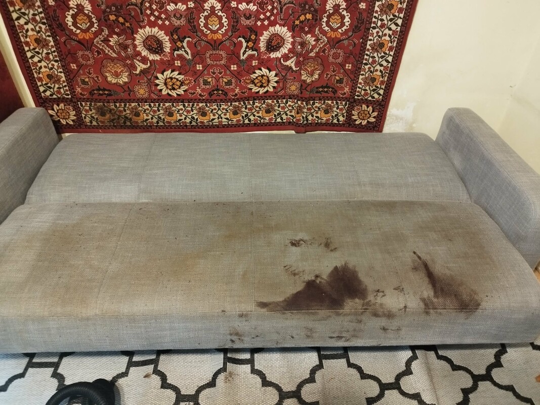 Elbląg 🌟 Profesjonalne czyszczenie dywanów, wykładzin, obić tapicerskich - RITTA Świeżość i blask