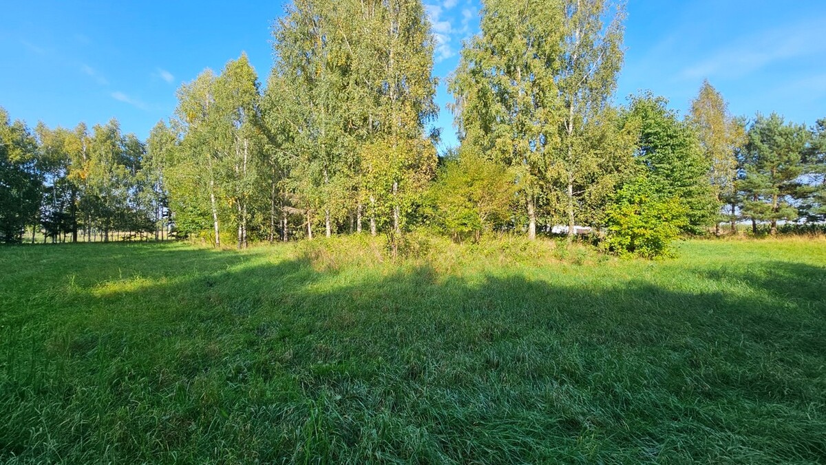 Elbląg BIURO NIERUCHOMOŚCISZULC& SZULCDziałka budowlana - Kamiennik Wielki, gmina MilejewoPowierzchnia - 3034 m2Na