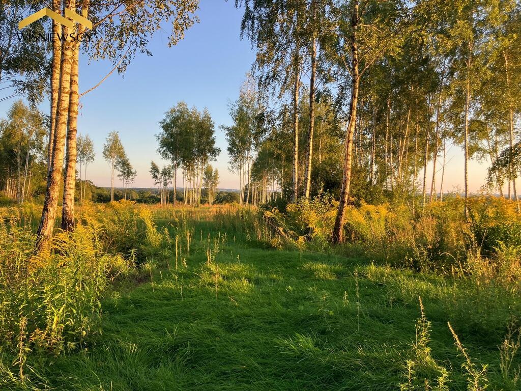 Elbląg WIŚNIEWSCY NIERUCHOMOŚCI Sp. z o.o.Sprzedam działkę - Dawidy. Oferta sprzedaży działki rolnej z wydaną