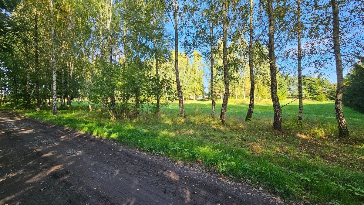 Elbląg SZULC & SZULC BIURO NIERUCHOMOŚCI NA SPRZEDAŻDziałka budowlana - Kamiennik Wielki, gmina