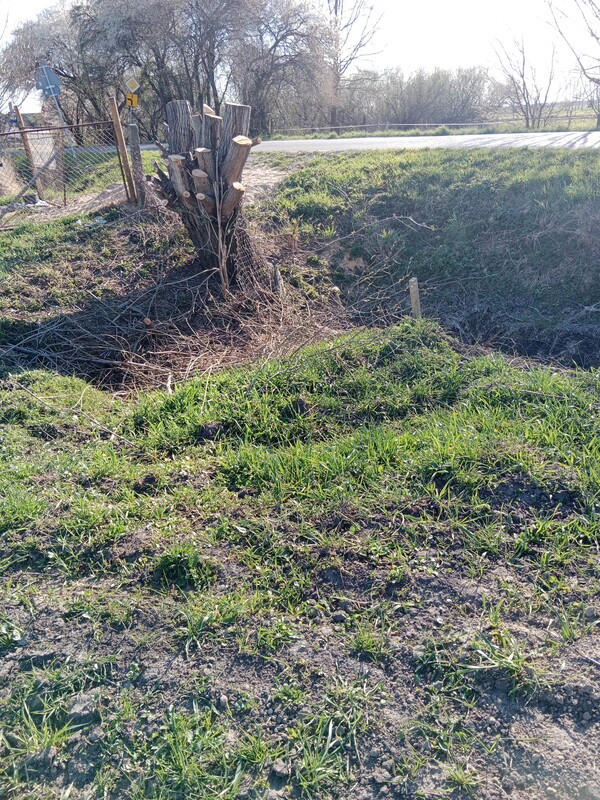 Elbląg 🌳 Działki budowlane w Dłużynie pod Elblągiem – Twój wymarzony dom na zielonej działce!EL-FACTOR