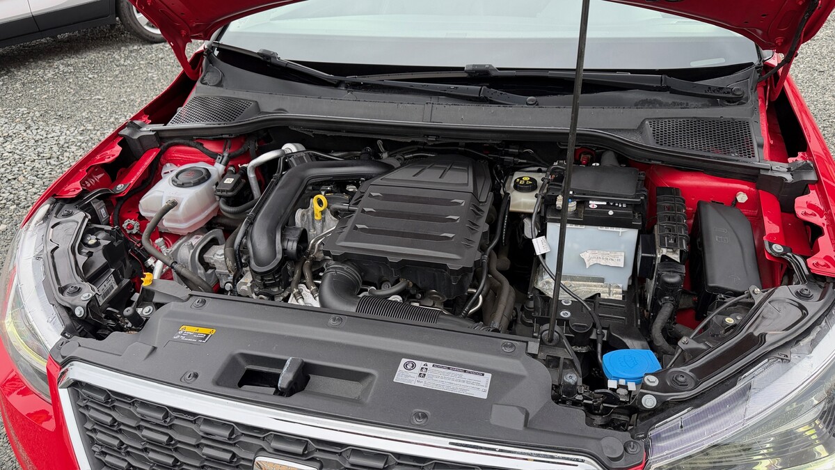Elbląg Auto Leew LEWANDOWSKI