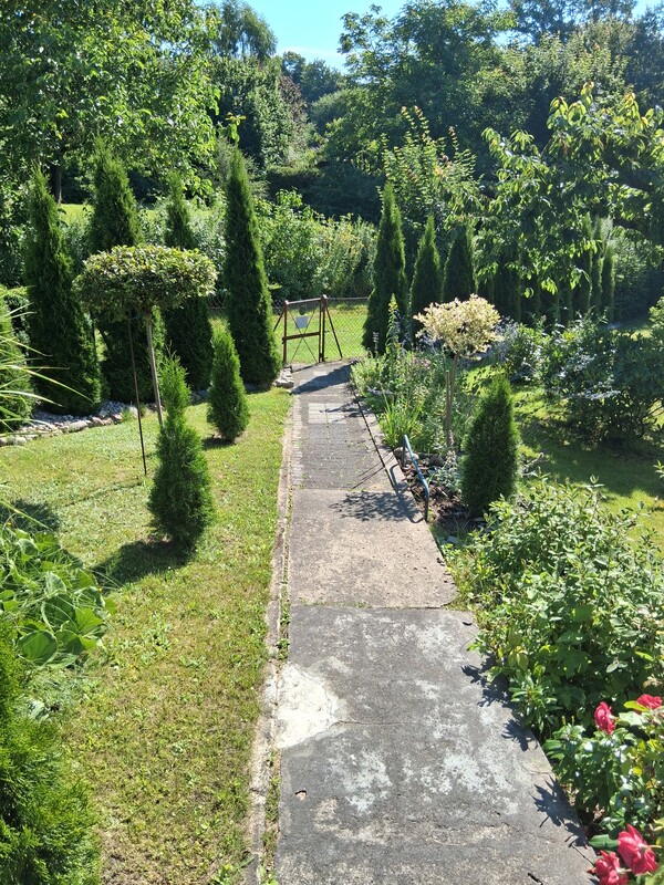 Elbląg Sprzedam działkę ROD SKOWRONEK ul. Okrężna. Na działce jest woda i prąd. Altana zadbana nowy dach więcej