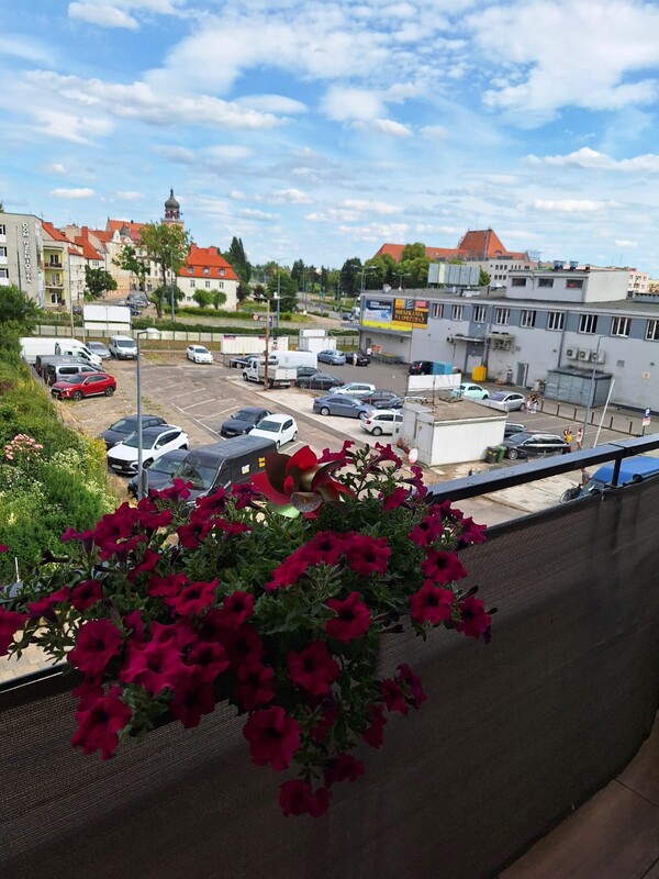Elbląg Mieszkanie 2 pokoje +aneks I dwa balkony I winda I teren ogrodzonyI NOWE BUDOWNICTWO I Centrum | ogłoszenie