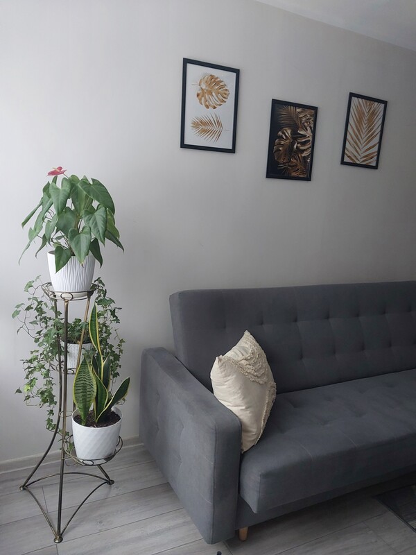 Elbląg Sprzedam mieszkanie