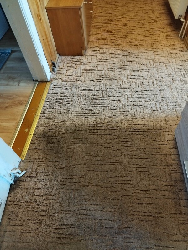 Elbląg 🌟 Profesjonalne czyszczenie dywanów, wykładzin, obić tapicerskich - RITTA Świeżość i blask