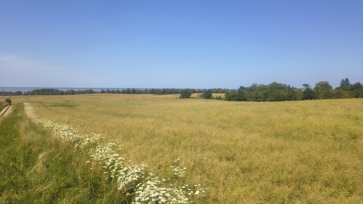 Elbląg Działki rolno-budowlane 10ha, widok na Zalew Wiślany, 30zł/m2!
