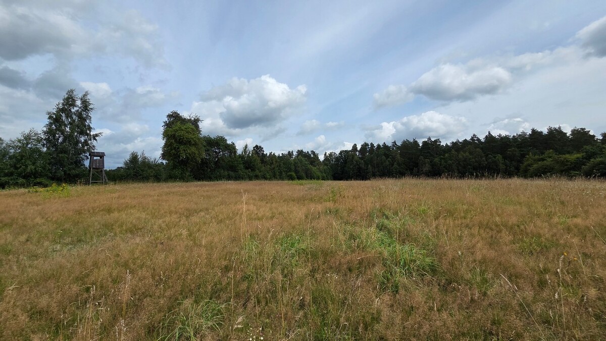 Elbląg SZULC & SZULC BIURO NIERUCHOMOŚCINA SPREDAŻ Działka budowlana - Błudowo gmina Młynary