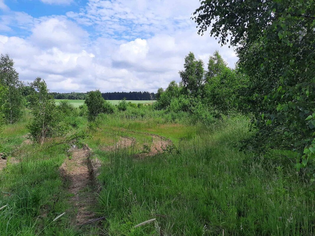 Elbląg SZULC & SZULC BIURO NIERUCHOMOŚCI NA SPREDAŻDziałka budowlana - Łęcze, gmina