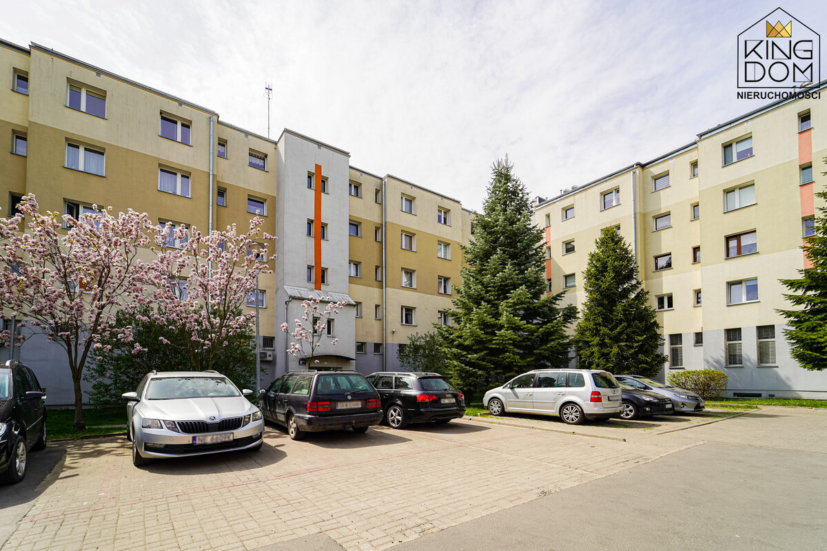 Elbląg 👑🏠 KINGDOM 🏠👑NIERUCHOMOŚCI BLISKO CIEBIE NA WYNAJEM
