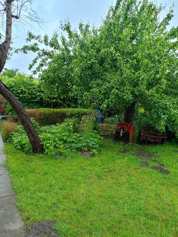 Elbląg SPRZEDAM DZIAŁKĘ OGRODNICZĄ O POWIERZCHNI 680m2 MIESZCZĄCĄ SIĘ NA ROD TRAMWAJARZ PRZY ULICY FROMBORSKIEJ
