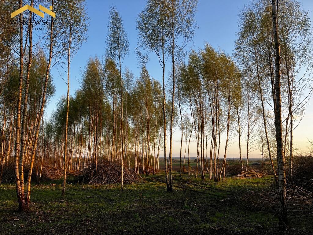 Elbląg WIŚNIEWSCY NIERUCHOMOŚCI Sp. z o.o.Sprzedam działkę - Dawidy. Oferta sprzedaży działki rolnej z wydaną