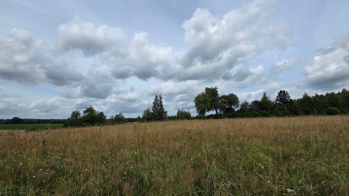 Elbląg SZULC & SZULC BIURO NIERUCHOMOŚCINA SPREDAŻ Działka budowlana - Błudowo gmina Młynary
