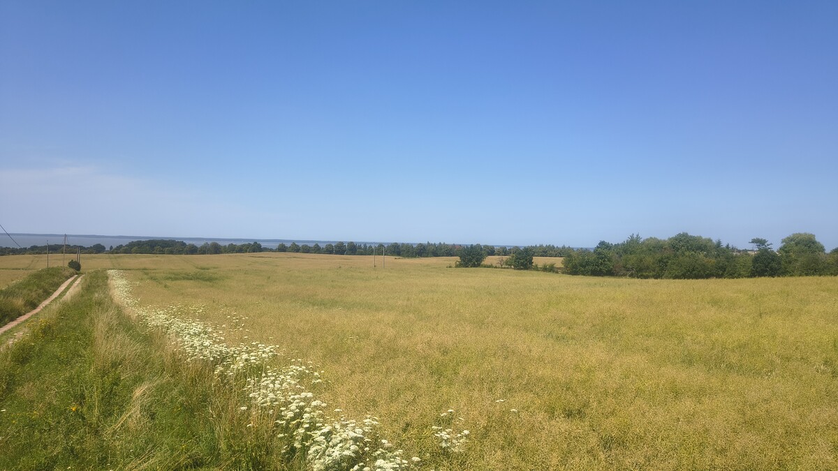 Elbląg Działki rolno-budowlane 10ha, widok na Zalew Wiślany, 30zł/m2!