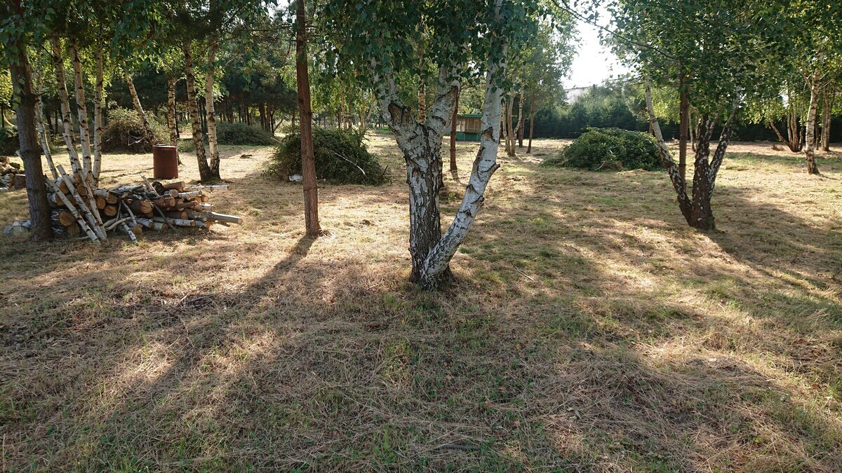 Elbląg SPRZEDAM 2 DZIAŁKI POD MILEJEWEM W OKOLICY ZAJĄCZKOWA, 80 M OD KOMPLEKSU LEŚNEGO,