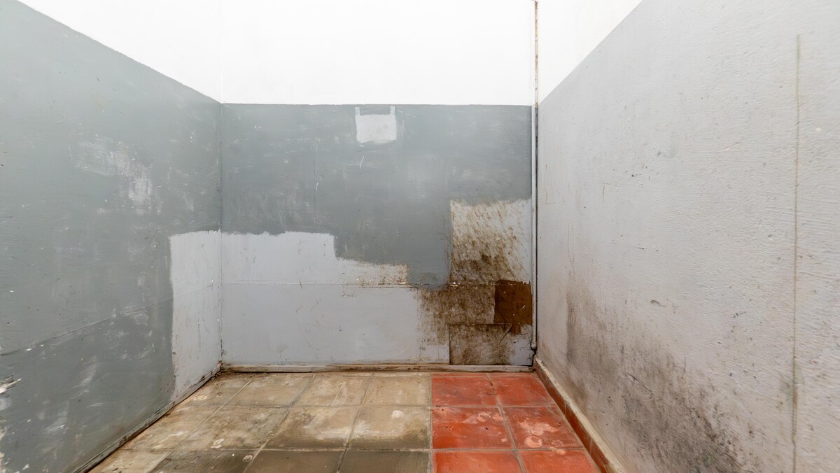 Elbląg TO MY SPRZEDAJEMYNIERUCHOMOŚCI W TYM MIEŚCIEBIURO NIERUCHOMOŚCIAMERICAN HOMEFOR SALE - DOM - TOLKMICKO