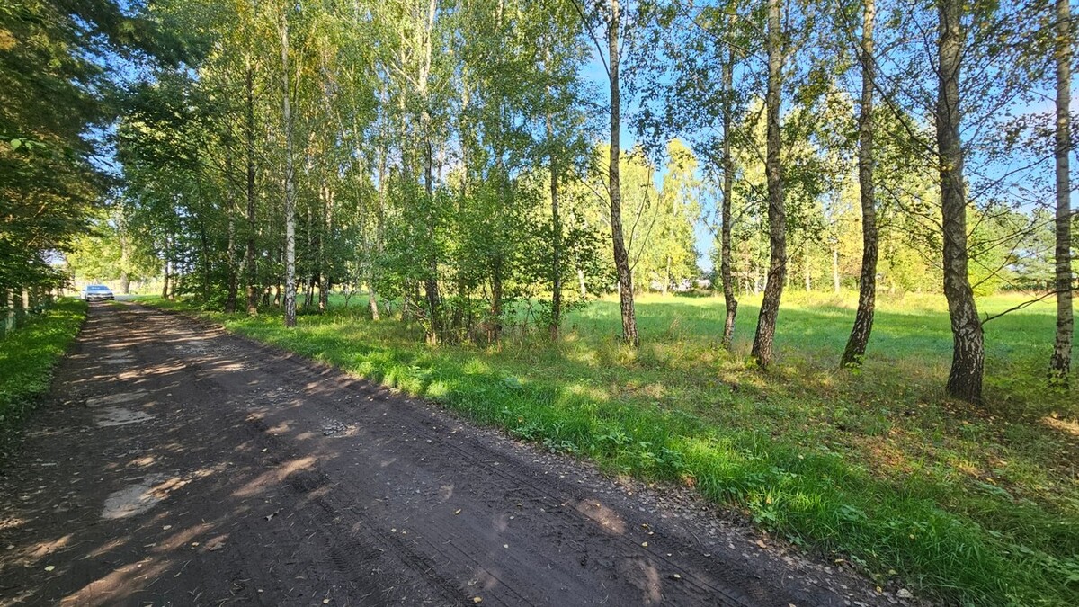 Elbląg BIURO NIERUCHOMOŚCISZULC& SZULCDziałka budowlana - Kamiennik Wielki, gmina MilejewoPowierzchnia - 3034 m2Na