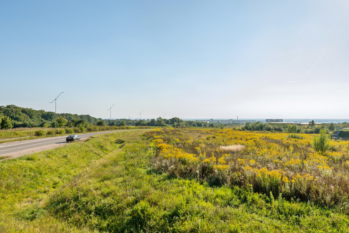 Elbląg Nowoczesne 2-pokojowe mieszkanie na wynajem | Elbląg | balkon | nowe budownictwo