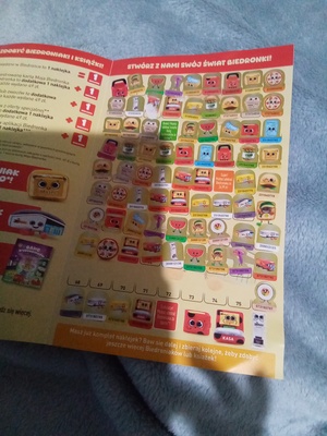 Elbląg Sprzedam książkę z naklejkami gang biedroniakow w książeczce brakuje 8 naklejek cena 25zl proszę tylko dzwonić