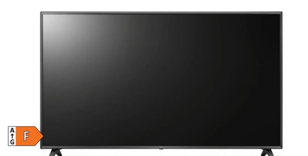 Elbląg Sprzedam telewizor 65 cali LG