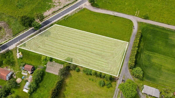 Elbląg Kurowo Braniewskie zaczarowana działka na granicy świata ludzi i magii. 