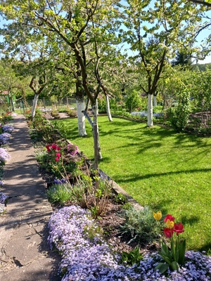 Elbląg Sprzedam działkę ROD&nbsp; 