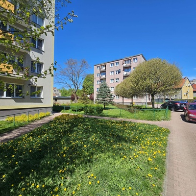 Elbląg DOM NIERUCHOMOŚCIOFERUJEMY NA SPRZEDAŻMIESZKANIE 2 POKOJOWEPow. 28,2 m2Blisko Park
