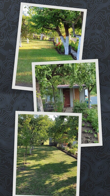 Elbląg SPRZEDAM DZIAŁKĘ ROD ŻWIRKI I WIGURY UL. SKRZYDLATA Powierzchnia 344 m2,działka ogrodzona, prąd