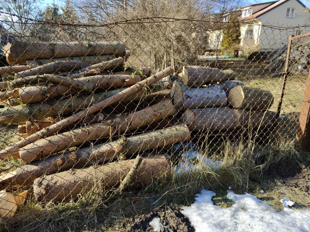 Elbląg witam,
sprzedam ok 2 i pół m3 świerka ściętego zimą, pocięte na ok 1,2 m, grubsze na 0,6 m długości
cena za