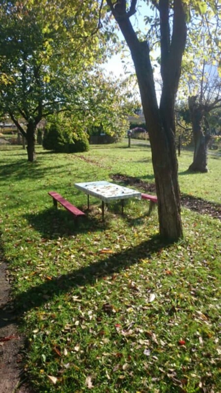 Elbląg 🌳 Sprzedam działkę 506 m² z altaną, piwnicą i drzewkami owocowymi! 🌞Na działce znajduje