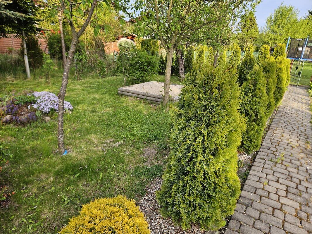 Elbląg Dzialka ROD im Kopernika przy ul. Klonowej. Działka zadbana i ogrodzona, z dostępem do prądu i wody.
Na