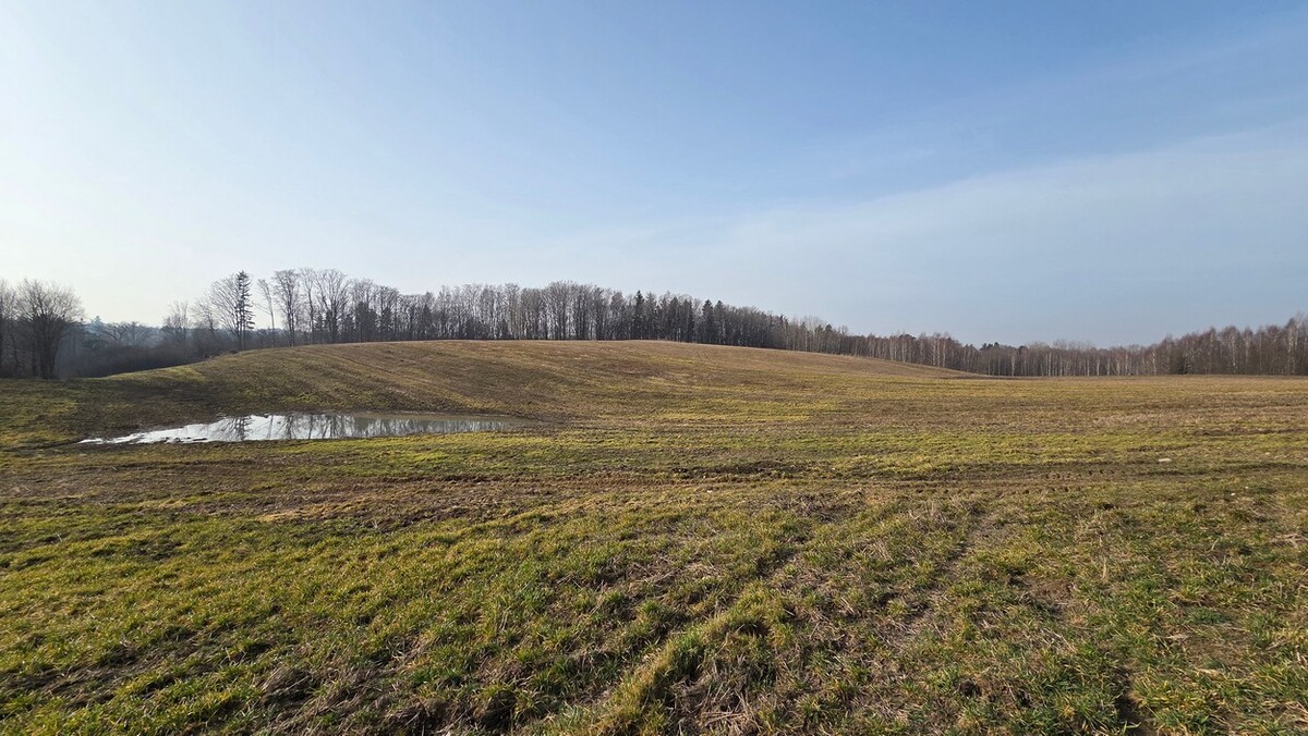 Elbląg SZULC & SZULC BIURO NIERUCHOMOŚCI NA SPRZEDAŻDziałka budowlana - Stare Monasterzysko