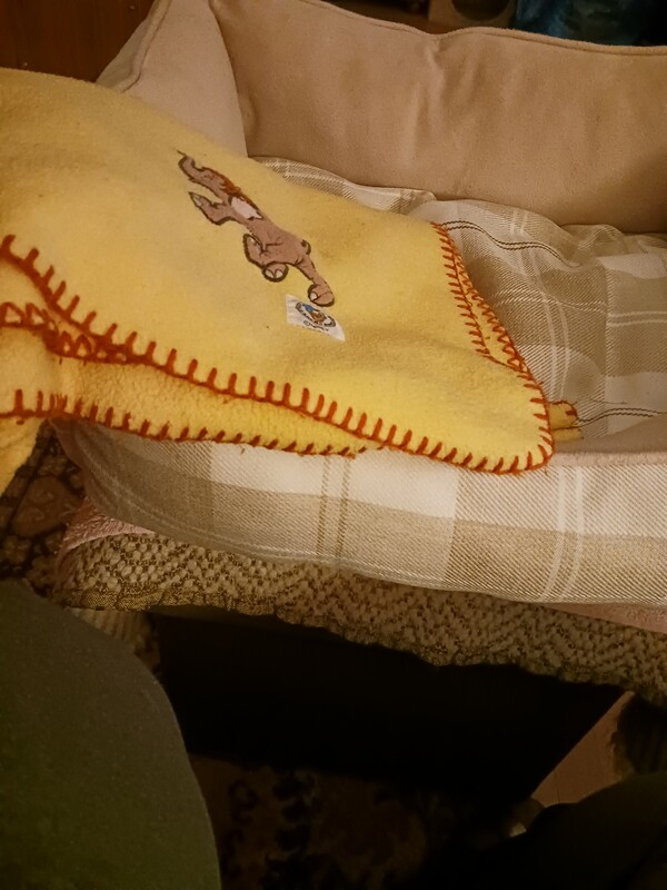 Elbląg Sprzedam legowisko dla psa/kota bardzo mało używane, łatwe w utrzymaniu czystości, dobre gatunkowo. W gratysie