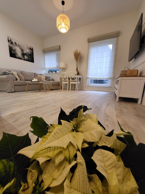 Elbląg Ciche mieszkanie 2-pokojowe w centrum Elbląga, z tarasem